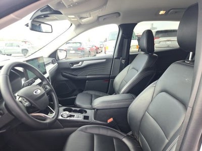 2025 Ford Escape Platinum