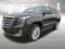 2020 Cadillac Escalade Platinum